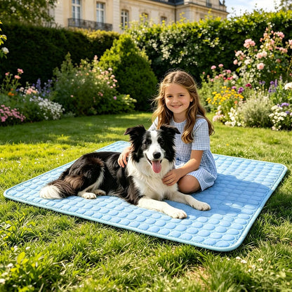 Dog Cooling Mat,Upgraded Arc-Chill Non-Slip Cool Pad | Cooling Mat for Dogs Q-Max 0.4 Breathable Washable,Foldable,Suit for Indoor Outdoor Summer Use for Cats Dogs